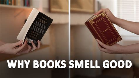 Why Do Books Smell Good: A Journey Through the Scent of Knowledge